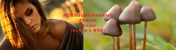спиды Бронницы
