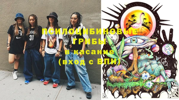 марки lsd Бородино