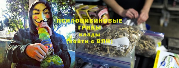 спиды Бронницы
