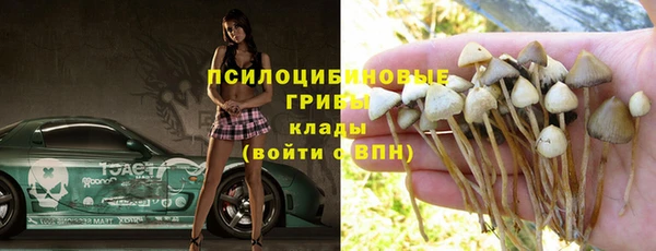 марки lsd Бородино