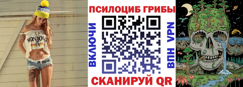 Галлюциногенные грибы Psilocybine cubensis  сайты даркнета Telegram  Нестеров 