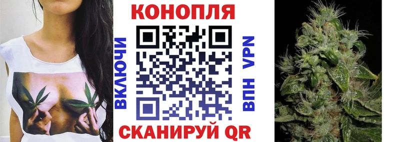 Бошки Шишки VHQ  Нестеров 